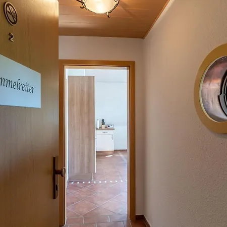 Schimmelreiter *